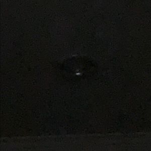 Meet your Posher, Kendall